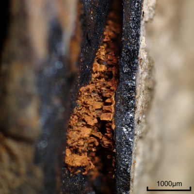 OZD_S_O_04_v_praskline_povrchu_detail_.tiff
